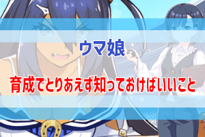 ウマ娘のステータス育成理論 初級 概要編 ぶちくま創作ベース