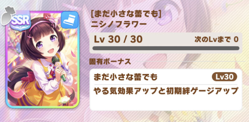 ニシノフラワーの育成に関する情報 ウマ娘攻略 ぶちくま創作ベース